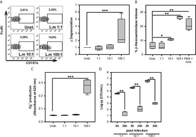 TLR2 Regulates Mast Cell IL-6 and IL-13 Production During Listeria monocytogenes Infection